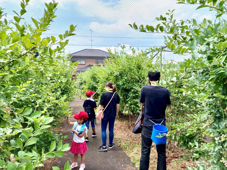 通路には防草シートが張ってあり、歩きやすくなっています